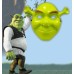 Yeşil Shrek Maskesi 21x25 cm